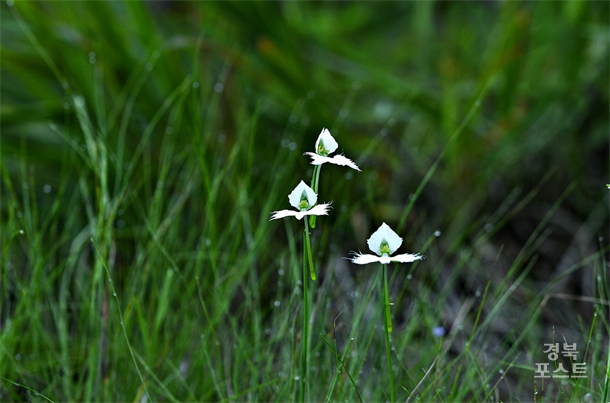 �ؿ������(���ʰ�)